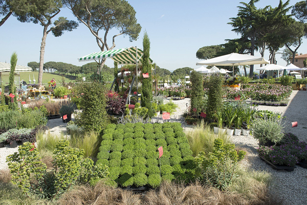 FloraCult Roma, uno spaccato espositivo