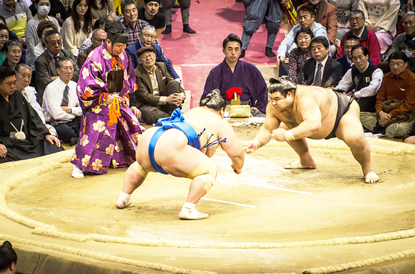  Sumo, incontro