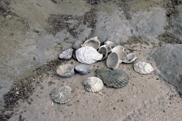 Parco dei Fossili