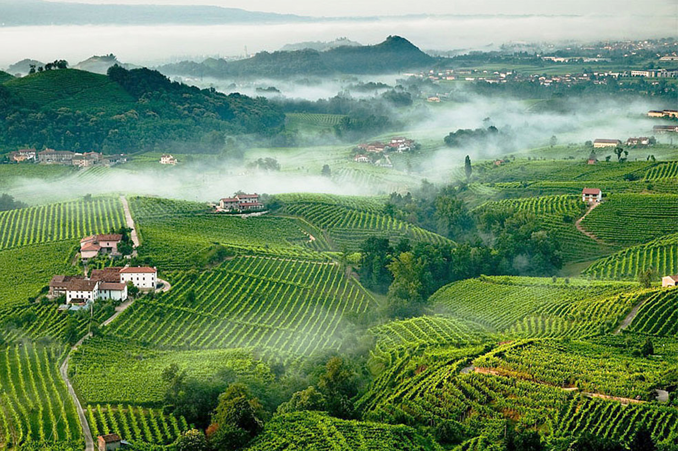 71_ConeglianoValdobbiadeneProsecco