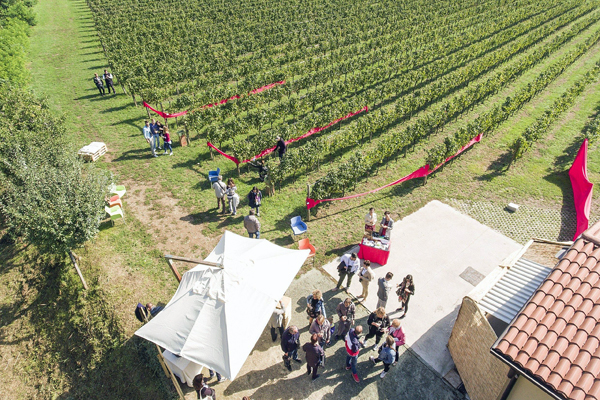 Festival Franciacorta in Cantina (1)