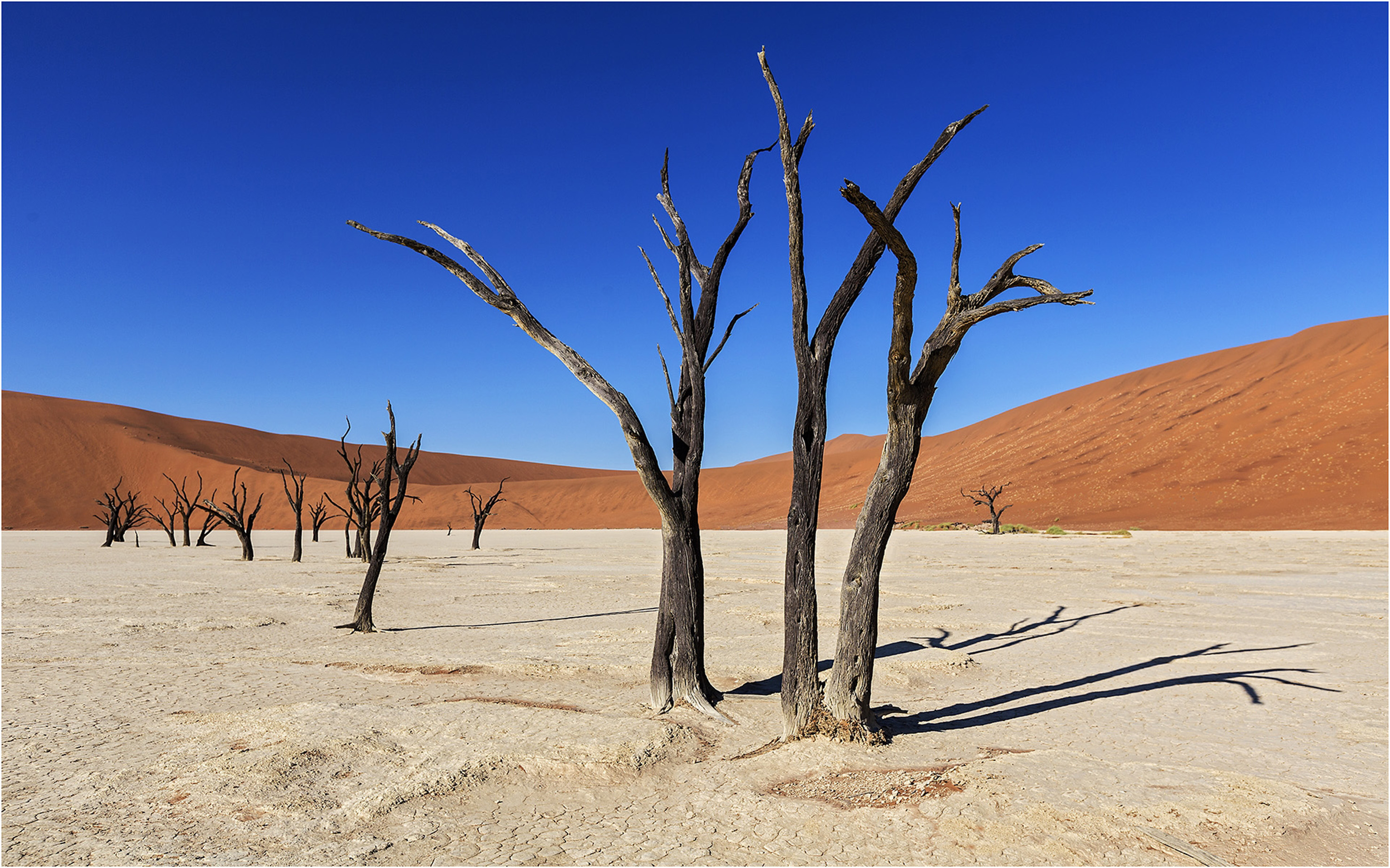 KiboTours - Namibia Dead Vlei