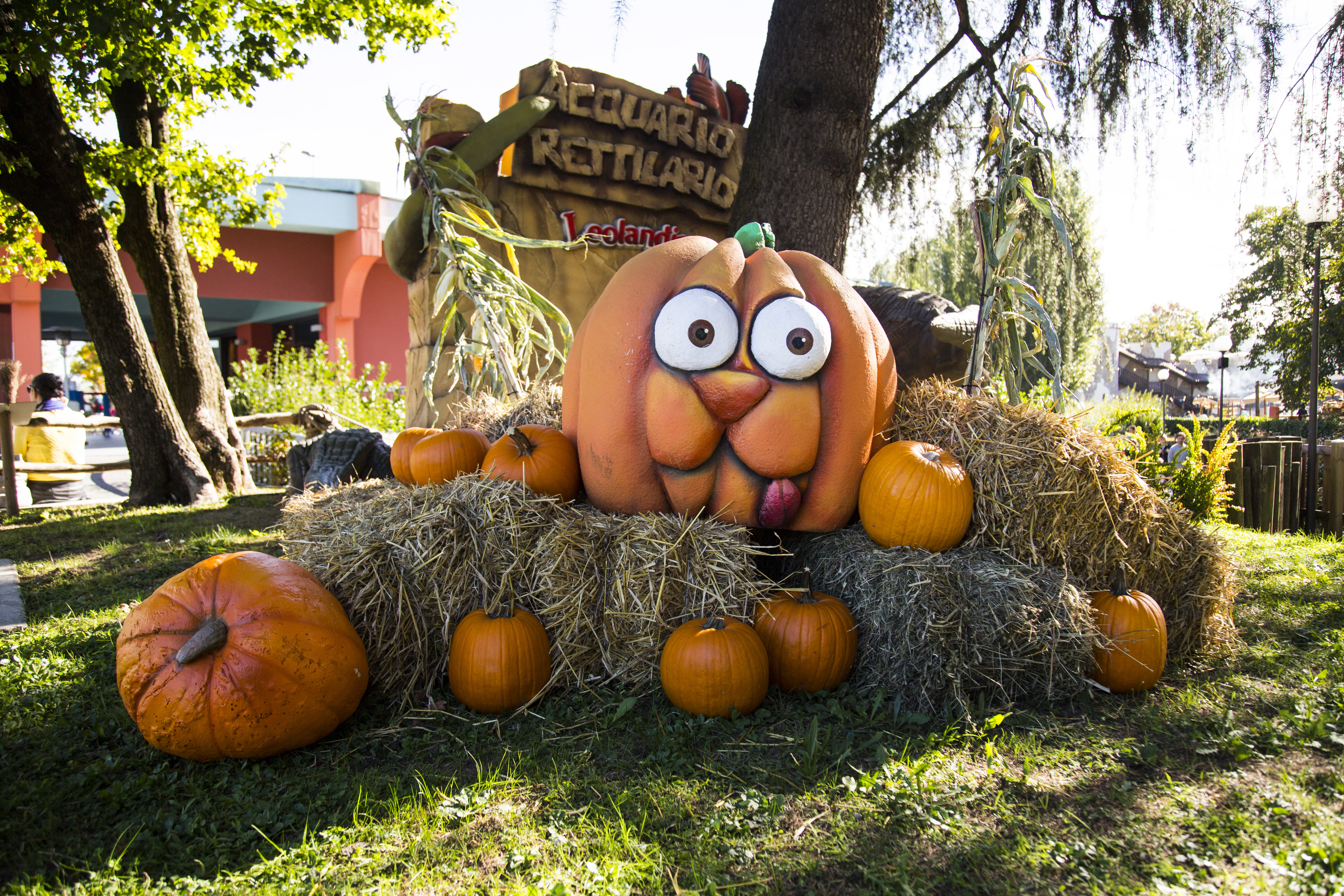 Leolandia apertura