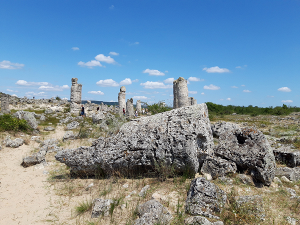 Foresta pietrificata vicino a Varna