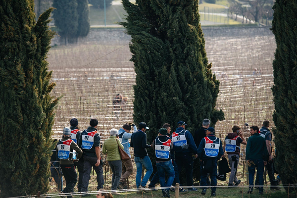 Festival del Potatore, partecipanti