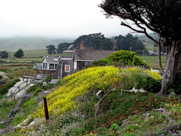 Case di Bodega Bay, su antiche dune costiere