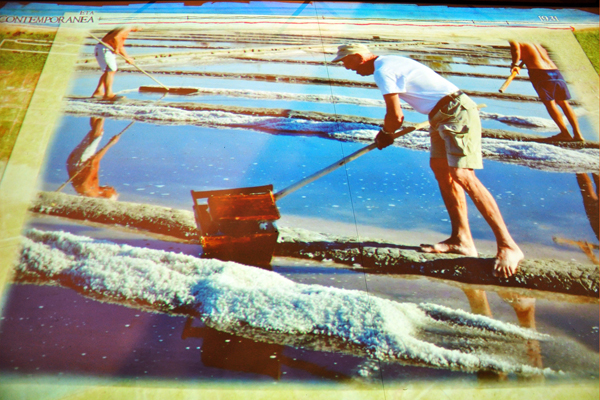  Immagine multimediale del lavoro in salina (Musa)