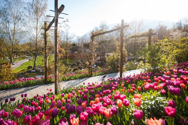 Giardini di Castel Trauttmansdorff attualmente