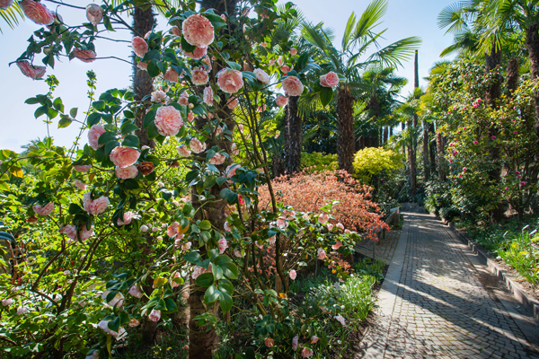 Giardini di Castel Trauttmansdorff, l'attuale fioritura