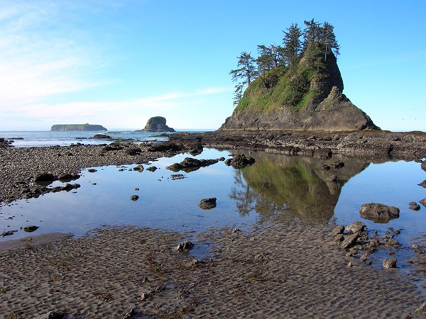 Olympic Nat. park - da National Park Service