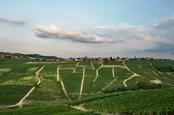 Territorio astigiano