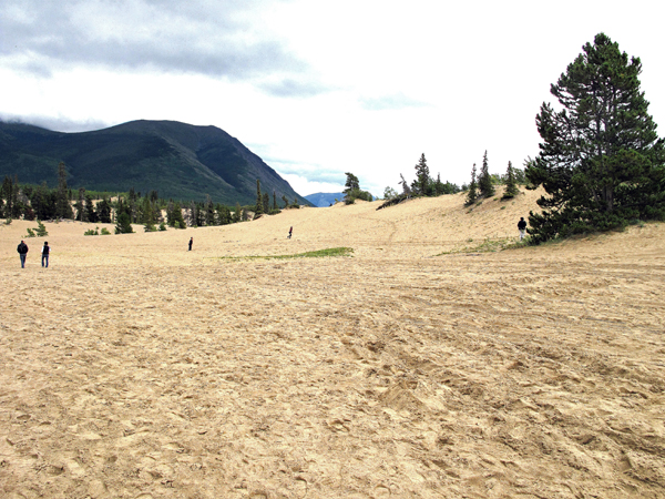 Le dune di sabbia di Carcross -f. G. Rivalta