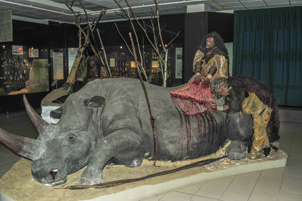 Museo di preistoria - foto R. Sarti