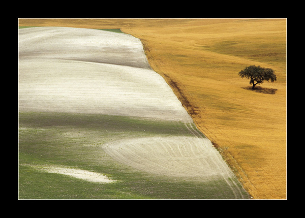 Primavera in Andalusia 1985 Angelo Tondini