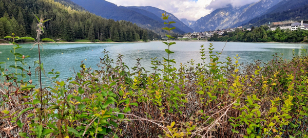 Auronzo vista lago