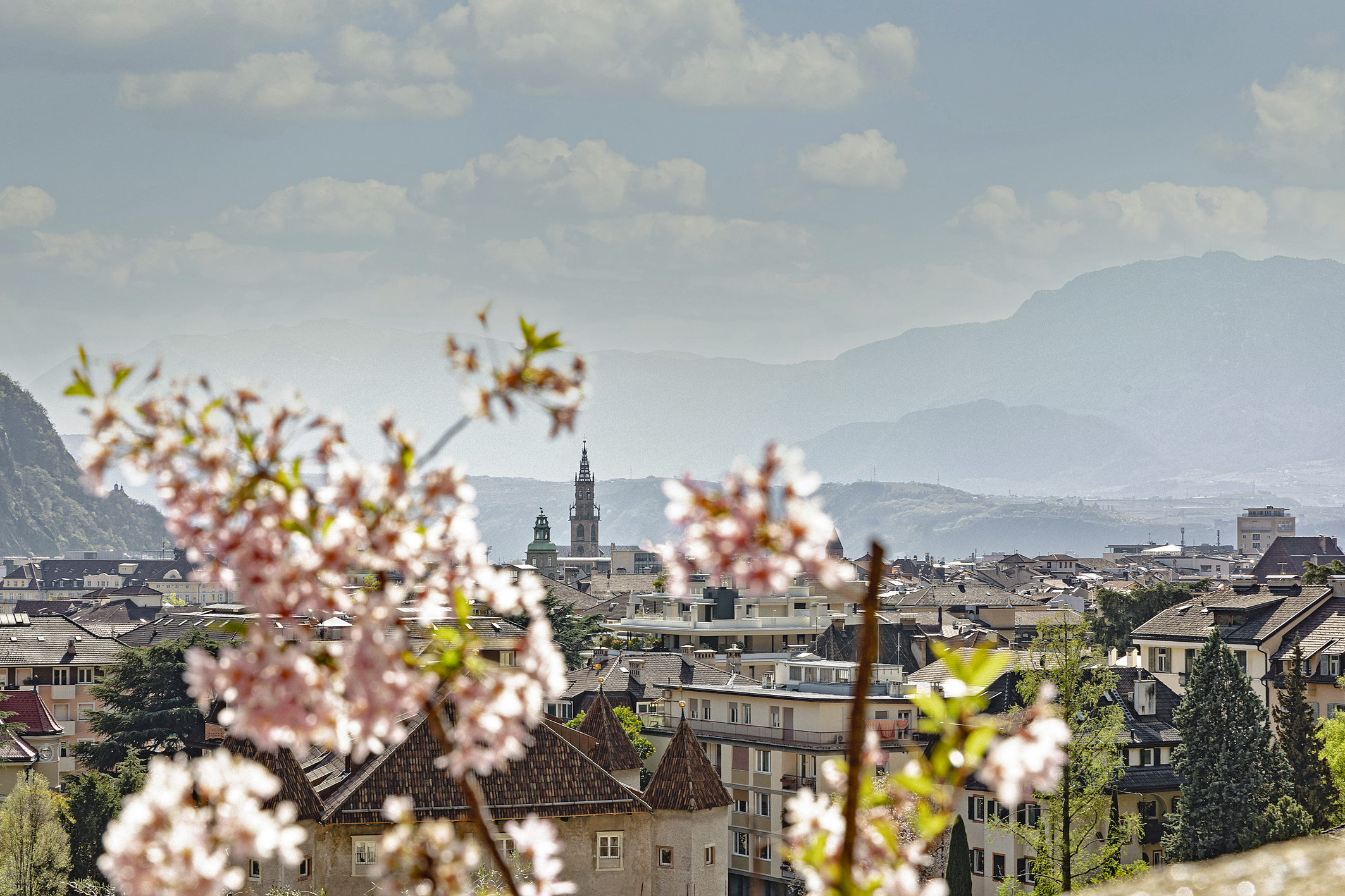 spring, primavera, Frühling, Bolzano, Bozen