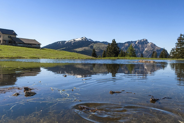 Malga a Folgaria