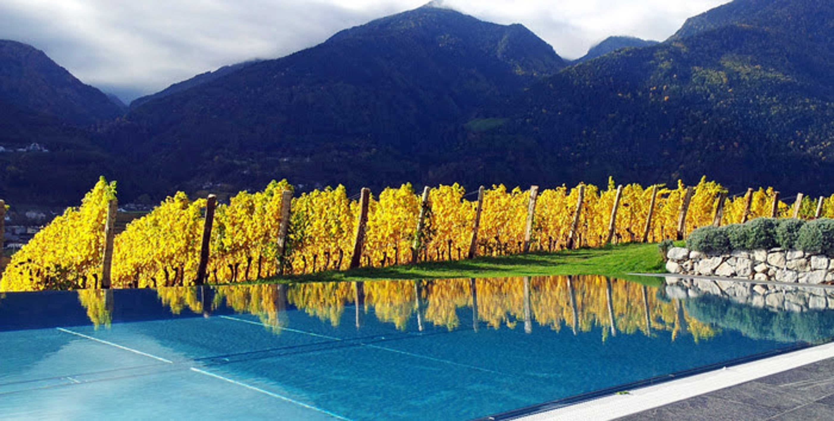 APERTURA La piscina dell'Hotel Tenuta Pacherhof