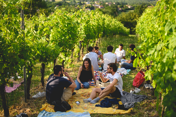 PicNic alla Cantina Oinoe (PR)