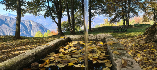 Alpe-Cimbra-(Tn)-Autunno-in-montagna-tra-magia-del-foliage--eventi-enogastronomici-e-outdoor-FOTO2