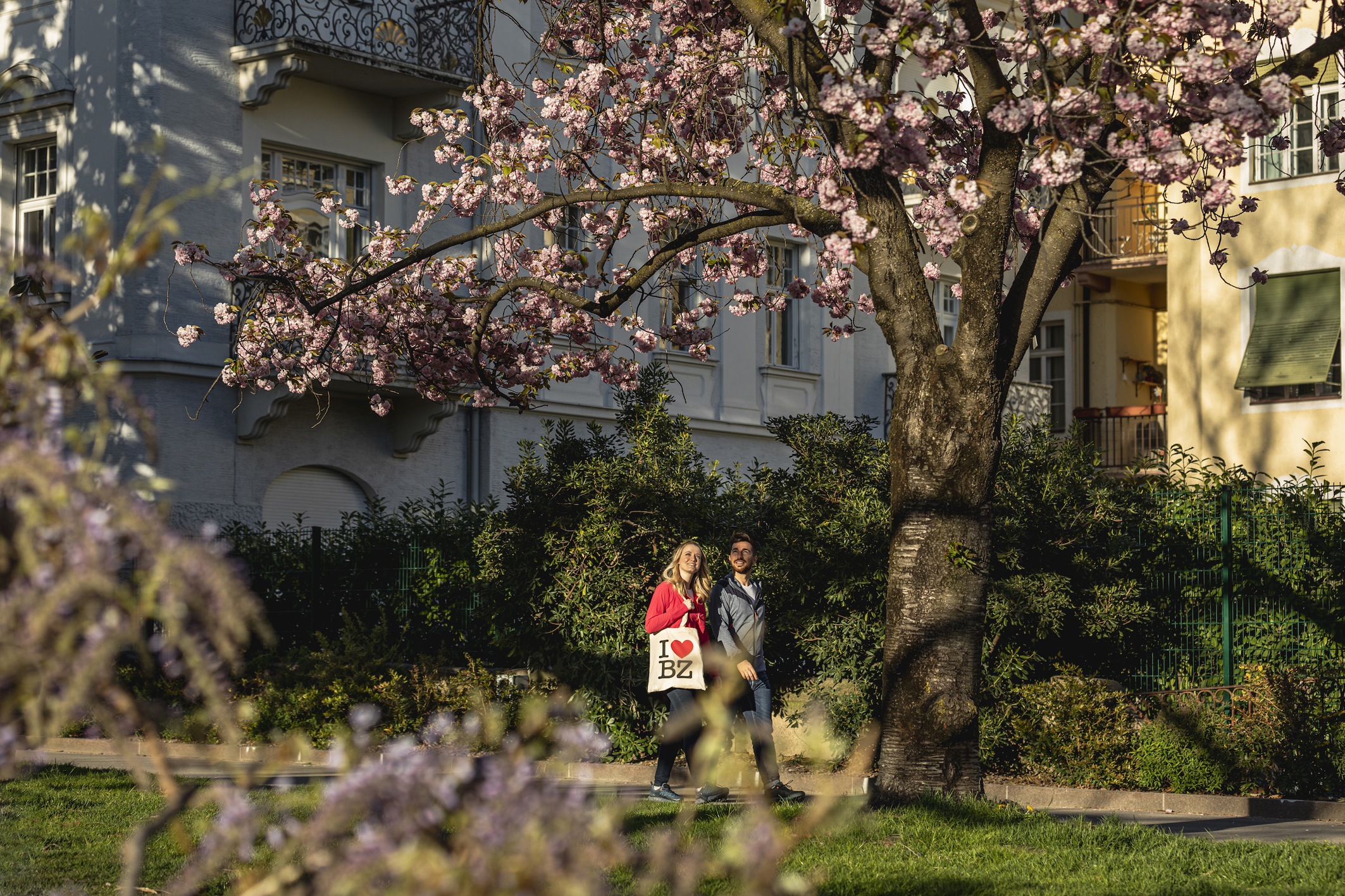 spring, primavera, Frühling, Bolzano, Bozen, momenti di luce, lichtmomente