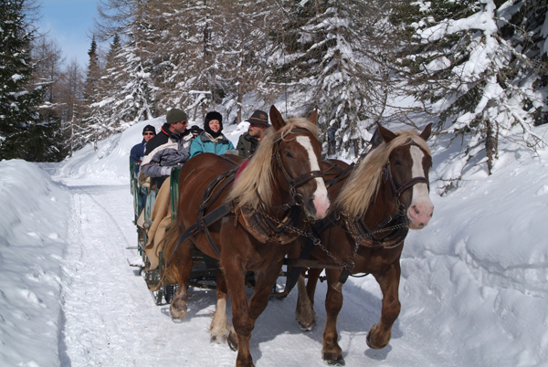 Carrozza in Austria