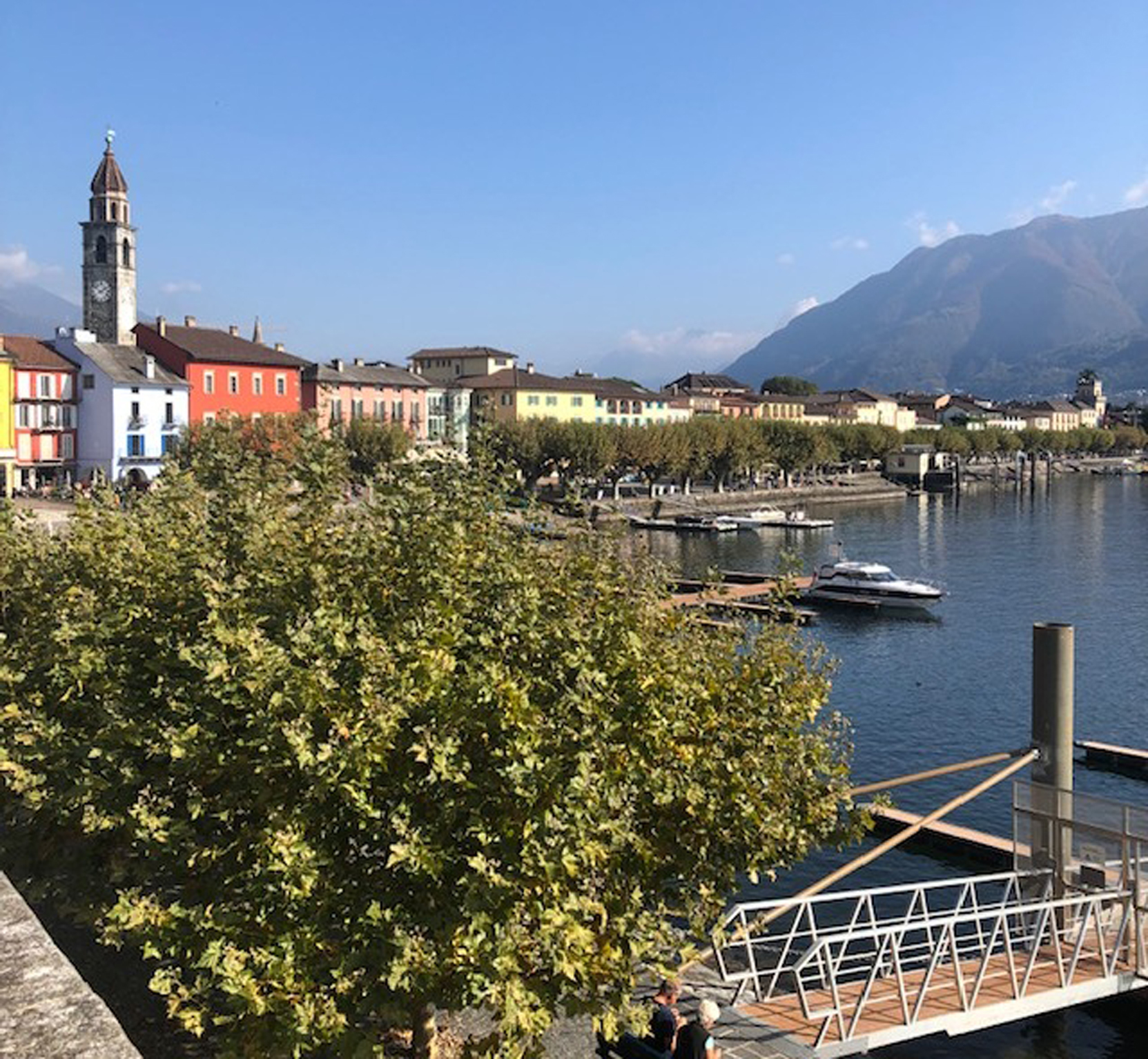 APERTURA Ascona