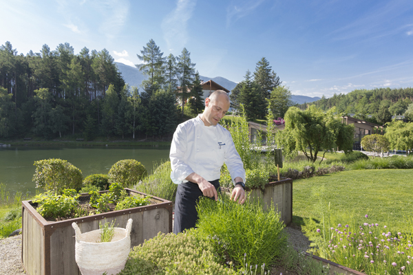 Le erbe in cucina