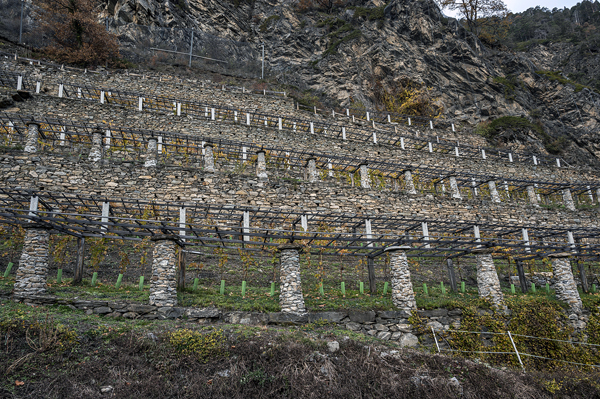 Strada dei vigneti alpini