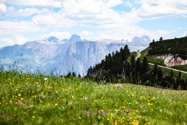 FOTO 1 sommer_rittner_horn_tourismusverein-ritten_foto_sophie_pichler_48363889217_o