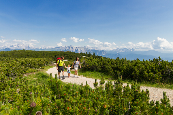 ritten sommer rittner horn