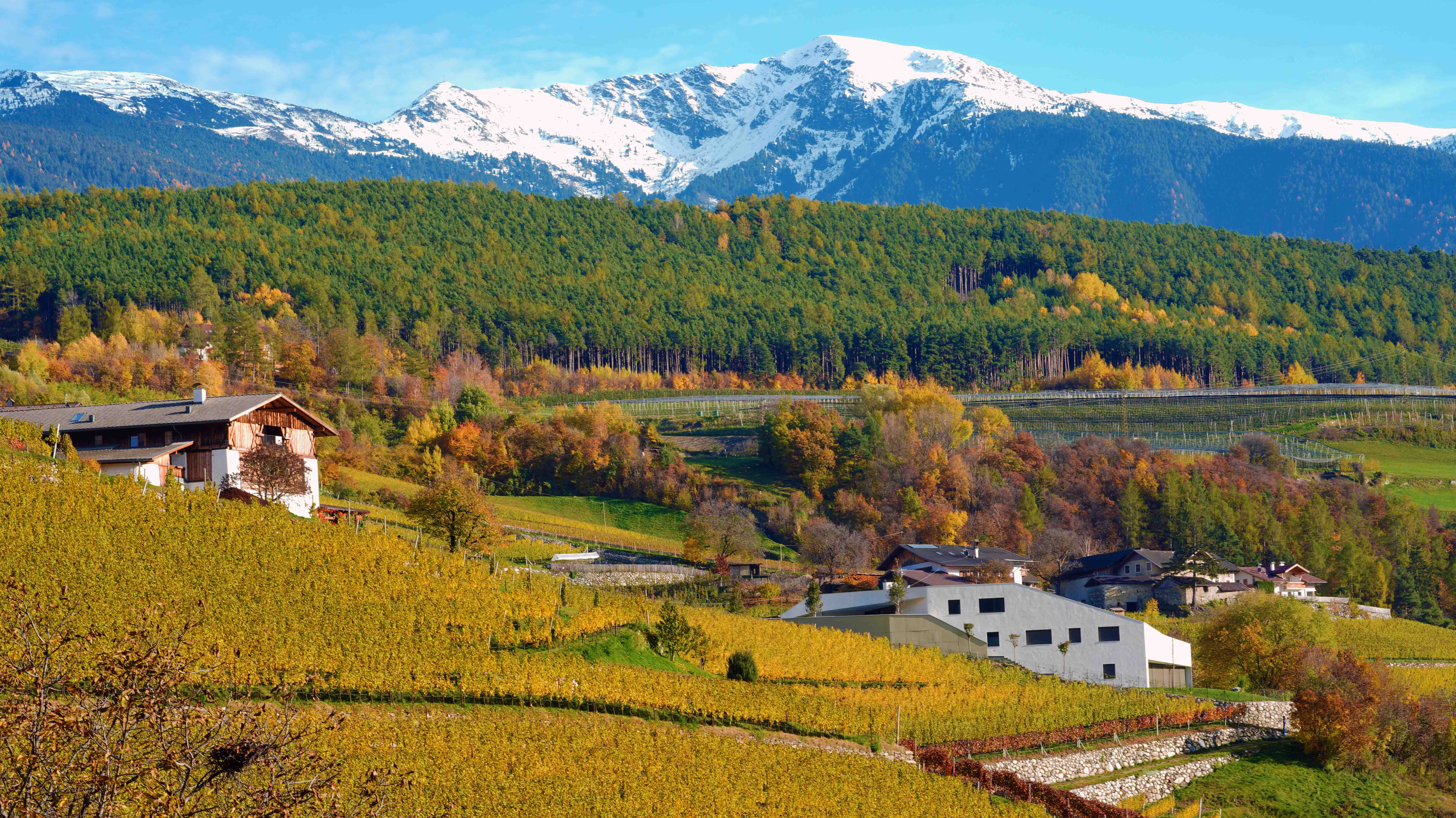 APERTURA Bressanone- i colori autunnali lungo le pendici delle montagne che circondano la cittadina (c) Bressanone Turismo-Mauro Parmesani