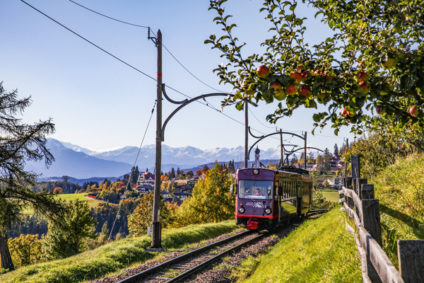 Trenin o del Renon, ©Tourismusverein Ritten Foto Sophie Pichler
