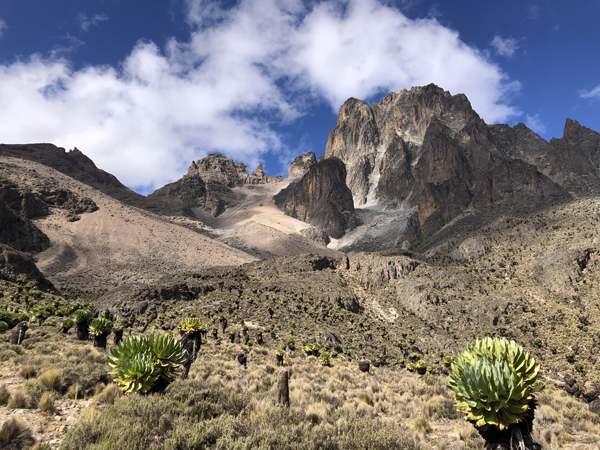 Le cime e la vegetazione preistorica che le introduce