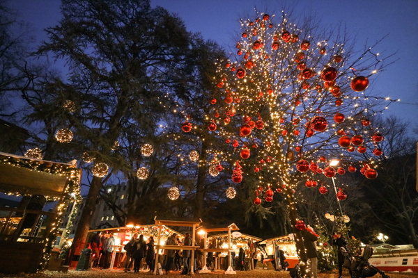 arco di Natale Bolzano @AST_Biscardi