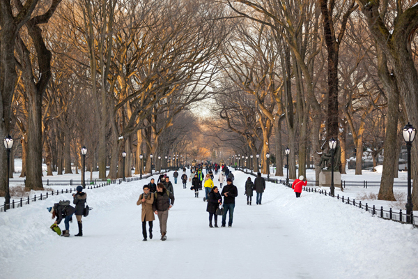  Winter-Outing-Central-Park-Manhattan-NYC-Photo-Tagger-Yancey-