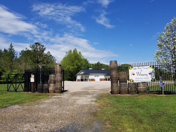  lake-point-vineyard