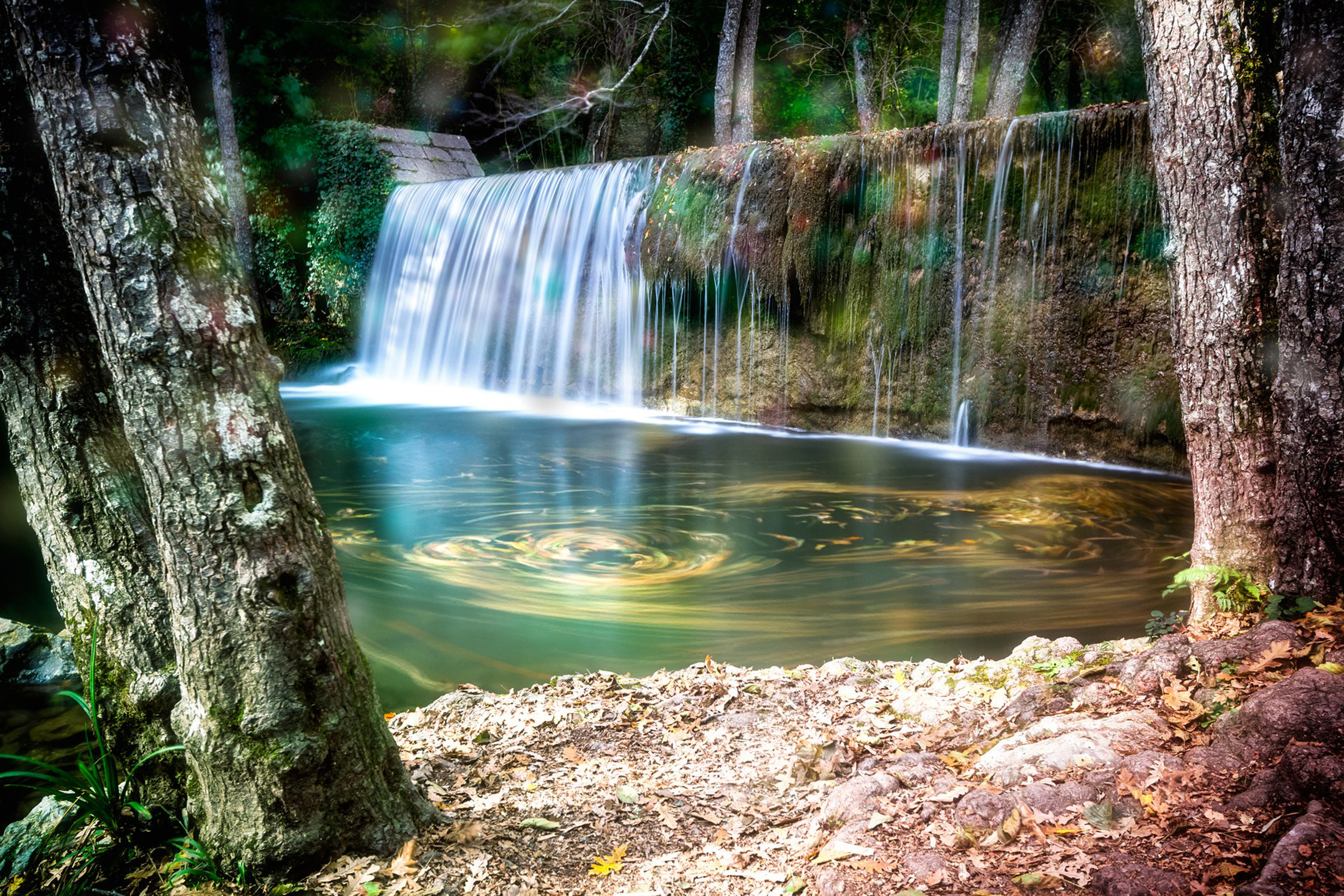 APERTURA Bosco Magnano Pollino APT BAsilicata