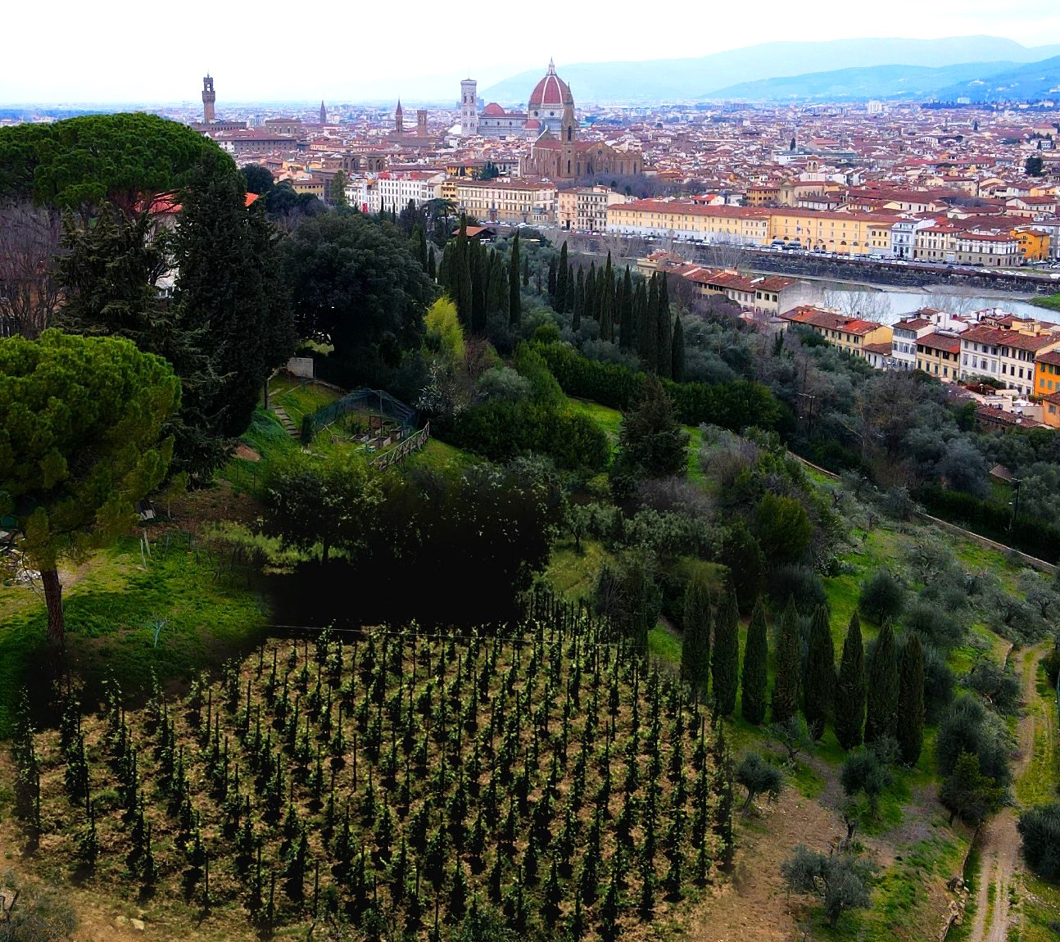 APERTURA Il sogno di Maria, Vigna Michelangelo come sarà nel 2027