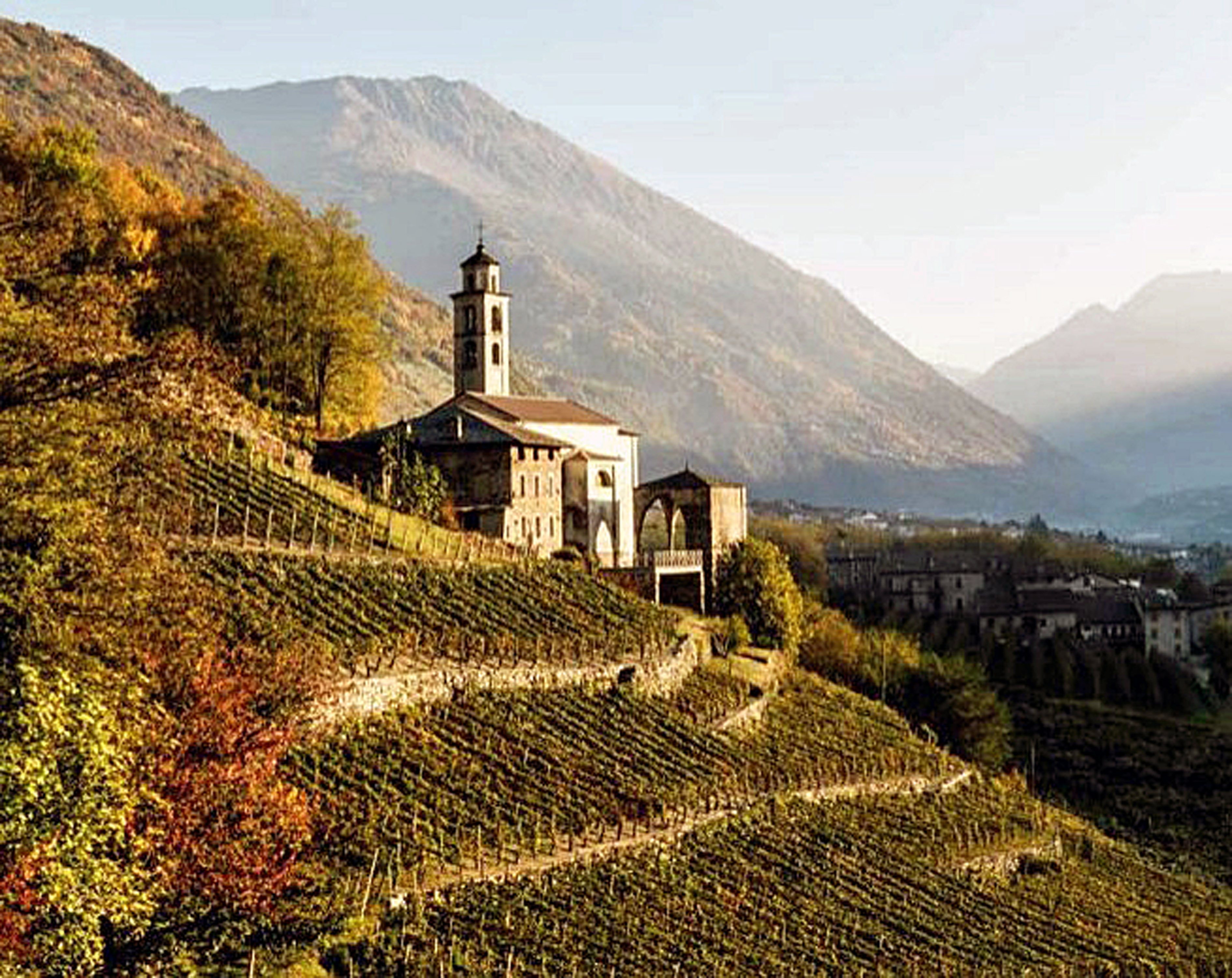 APERTURA Valtellina vigneti