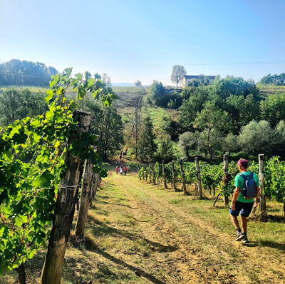 La Strada Franca nei dintorni di Bergamasco