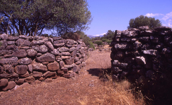 Serra Orrios foto archivio Arnesano-Badini