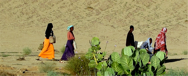 donne tuareg in cammino