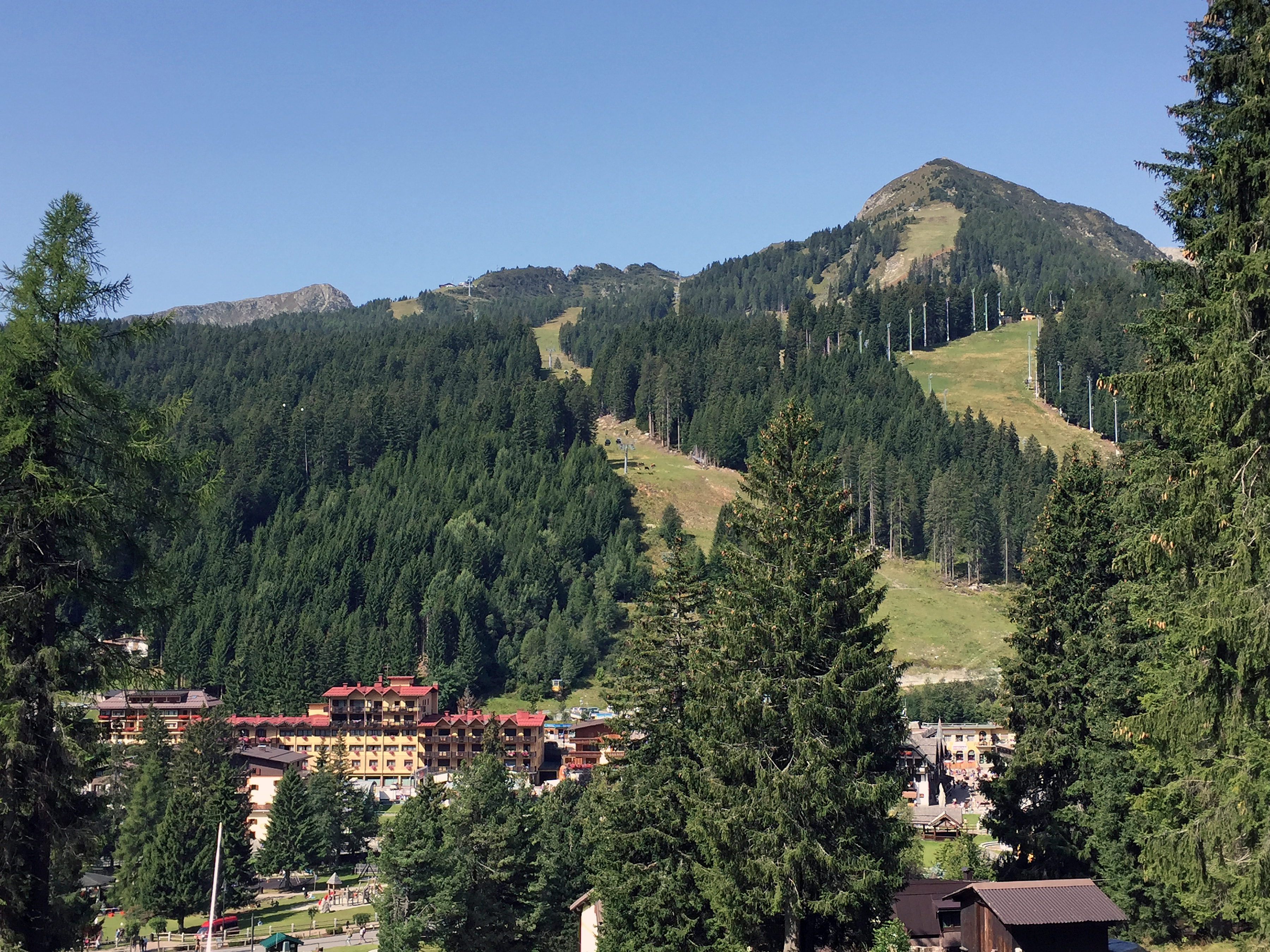 APERTURA A Madonna di Campiglio, le piste che scendono in paese in estate