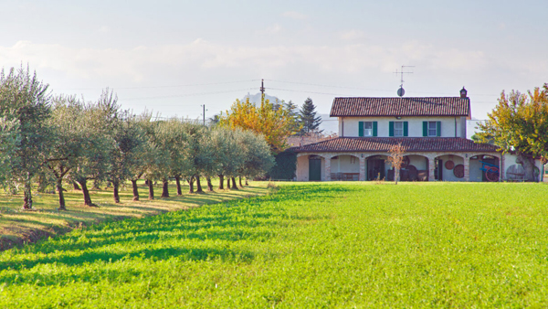 Podere La Fattoria