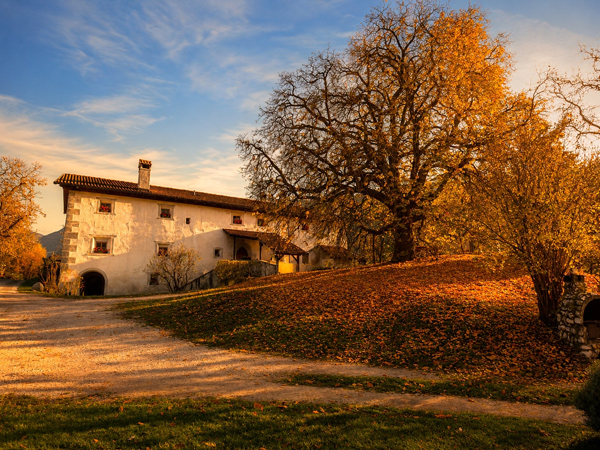 Maso_Unterfinserhof_Törggelen_GoldenHour